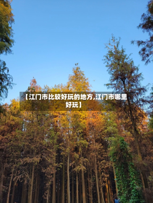 【江门市比较好玩的地方,江门市哪里好玩】-第2张图片