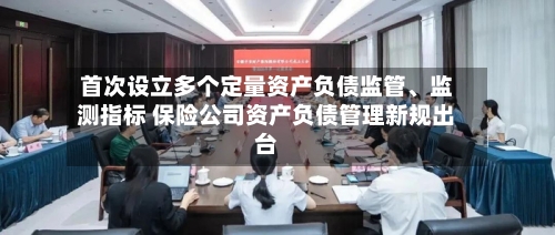 首次设立多个定量资产负债监管	、监测指标 保险公司资产负债管理新规出台-第2张图片