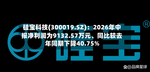 硅宝科技(300019.SZ)：2026年中报净利润为9132.57万元	、同比较去年同期下降40.75%-第2张图片