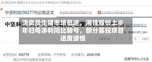 活禽及生猪市场低迷，湘佳股份上半年归母净利同比转亏，部分募投项目进度缓慢-第2张图片