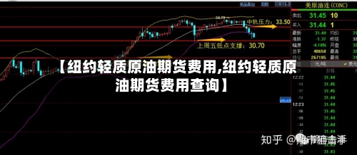 【纽约轻质原油期货费用,纽约轻质原油期货费用查询】-第2张图片