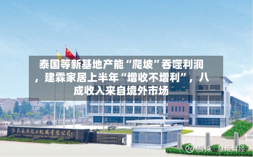 泰国等新基地产能“爬坡	”吞噬利润，建霖家居上半年“增收不增利”	，八成收入来自境外市场-第2张图片