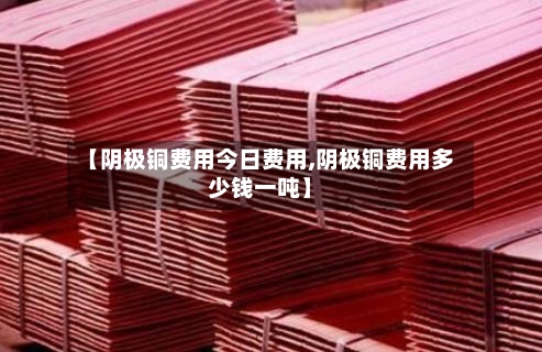 【阴极铜费用今日费用,阴极铜费用多少钱一吨】-第2张图片