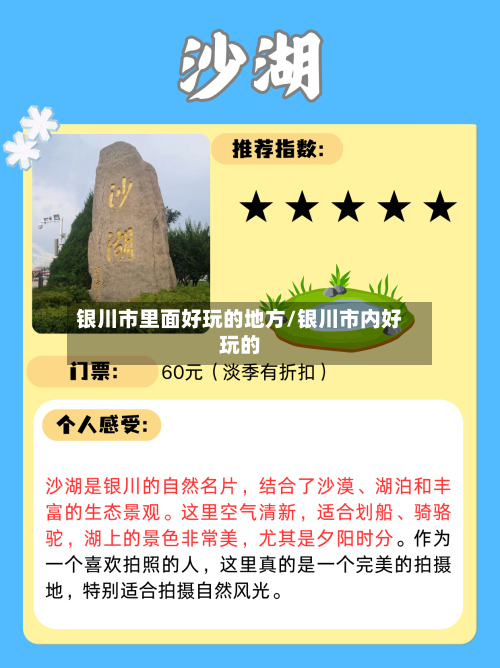 银川市里面好玩的地方/银川市内好玩的-第2张图片