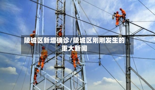 陵城区新增确诊/陵城区刚刚发生的重大新闻-第3张图片