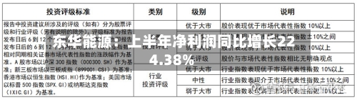 东华能源：上半年净利润同比增长224.38%-第1张图片