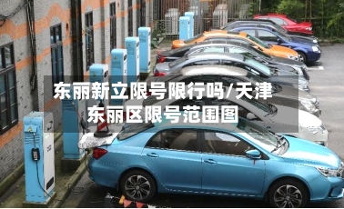 东丽新立限号限行吗/天津东丽区限号范围图