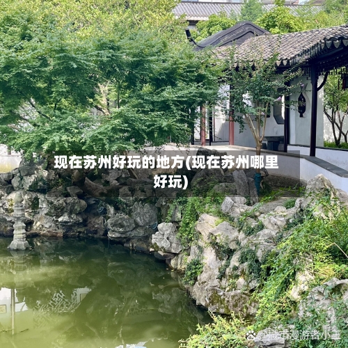 现在苏州好玩的地方(现在苏州哪里好玩)