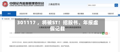 301117 ，将被ST！招股书	、年报虚假记载-第3张图片