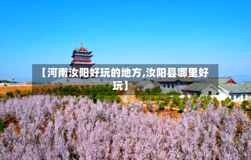 【河南汝阳好玩的地方,汝阳县哪里好玩】-第2张图片