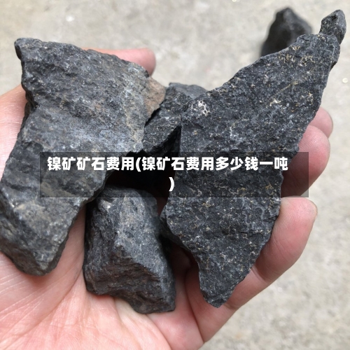 镍矿矿石费用(镍矿石费用多少钱一吨)-第3张图片