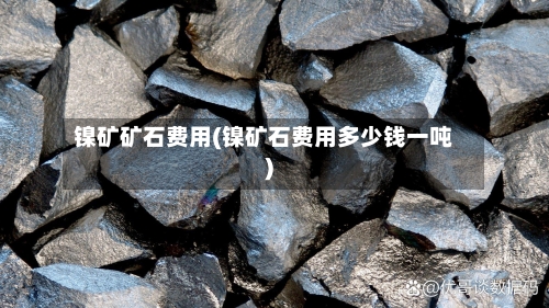 镍矿矿石费用(镍矿石费用多少钱一吨)-第2张图片