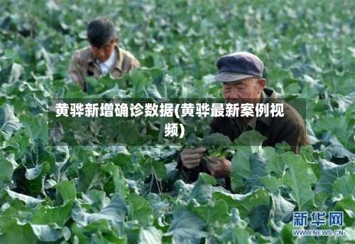 黄骅新增确诊数据(黄骅最新案例视频)-第2张图片