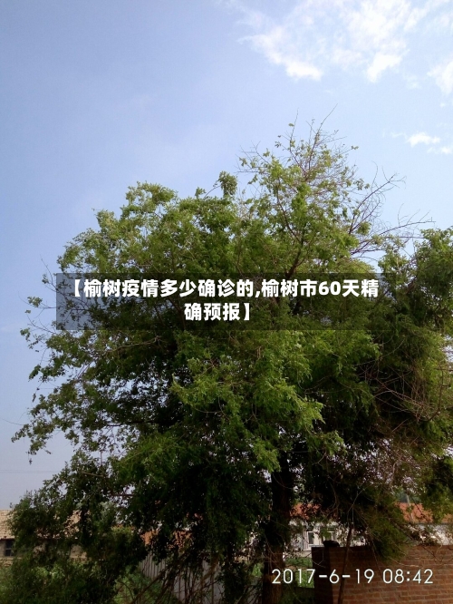 【榆树疫情多少确诊的,榆树市60天精确预报】