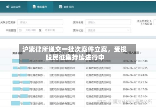沪紫律所递交一批次案件立案，受损股民征集持续进行中-第3张图片