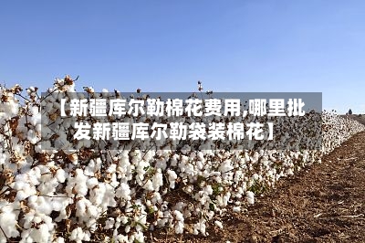 【新疆库尔勒棉花费用,哪里批发新疆库尔勒袋装棉花】