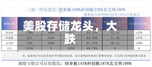 美股存储龙头，大跌-第3张图片