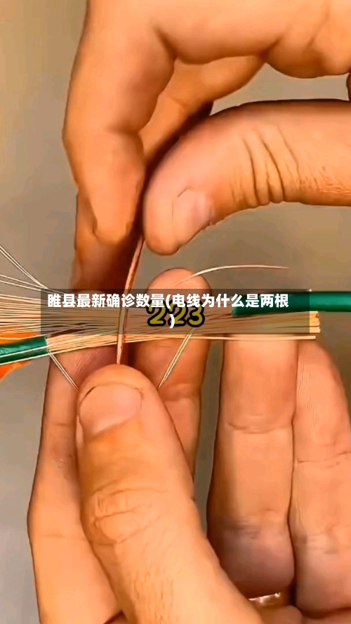 睢县最新确诊数量(电线为什么是两根)-第3张图片