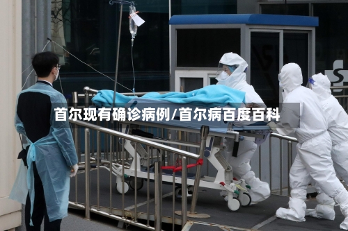 首尔现有确诊病例/首尔病百度百科