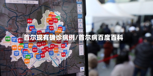 首尔现有确诊病例/首尔病百度百科-第2张图片