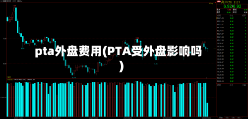 pta外盘费用(PTA受外盘影响吗)-第2张图片