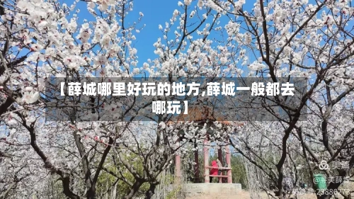【薛城哪里好玩的地方,薛城一般都去哪玩】