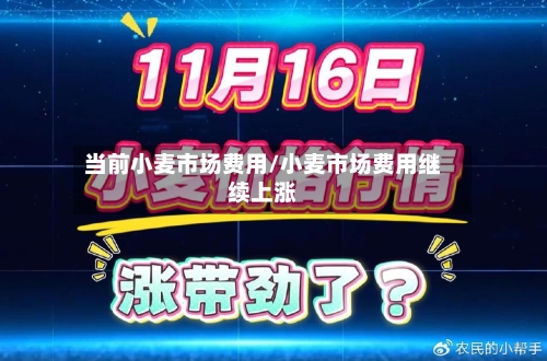 当前小麦市场费用/小麦市场费用继续上涨-第3张图片