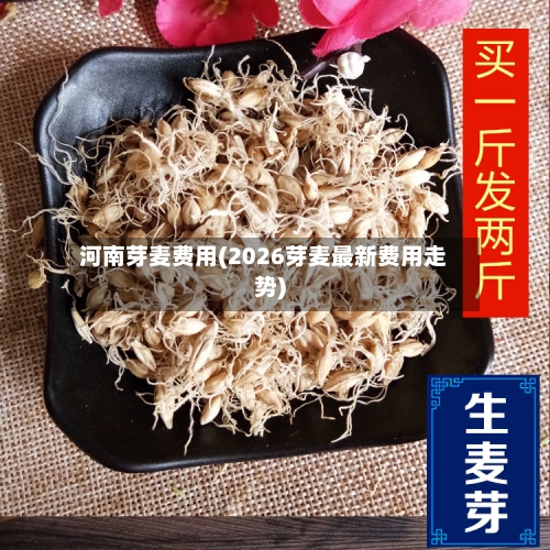 河南芽麦费用(2026芽麦最新费用走势)-第3张图片