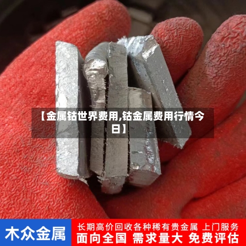 【金属钴世界费用,钴金属费用行情今日】-第3张图片