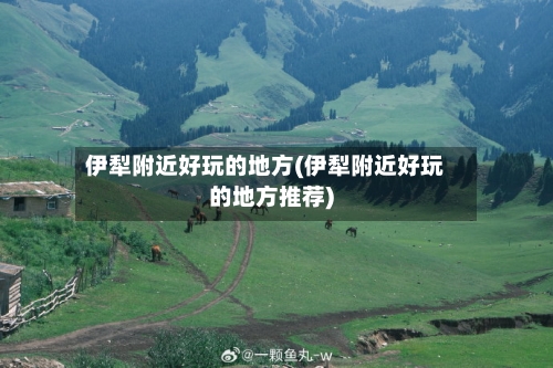 伊犁附近好玩的地方(伊犁附近好玩的地方推荐)-第2张图片