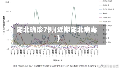 湖北确诊7例(近期湖北病毒)