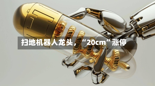 扫地机器人龙头，“20cm”涨停-第2张图片