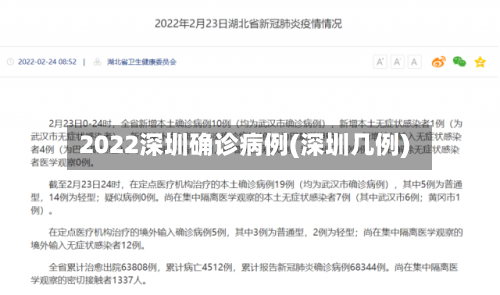 2022深圳确诊病例(深圳几例)-第2张图片