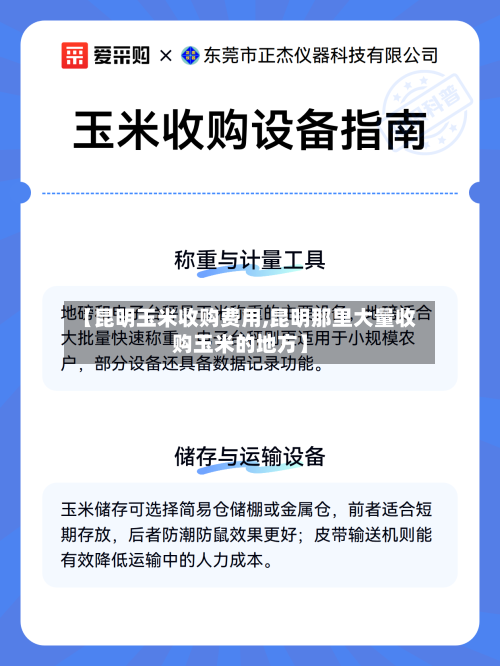 【昆明玉米收购费用,昆明那里大量收购玉米的地方】