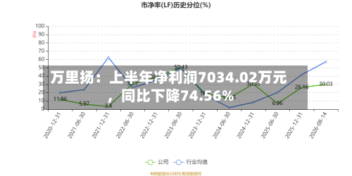 万里扬：上半年净利润7034.02万元，同比下降74.56%-第2张图片