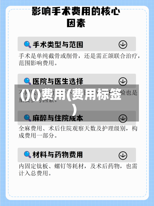 ()()费用(费用标签)-第2张图片