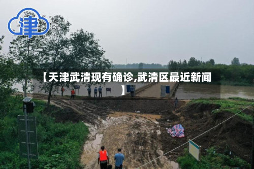 【天津武清现有确诊,武清区最近新闻】-第2张图片