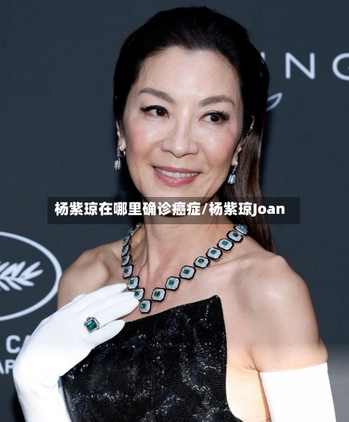 杨紫琼在哪里确诊癌症/杨紫琼Joan-第3张图片