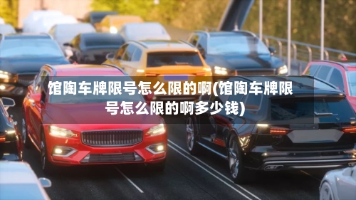 馆陶车牌限号怎么限的啊(馆陶车牌限号怎么限的啊多少钱)