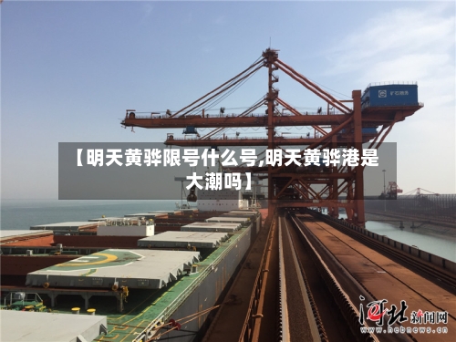 【明天黄骅限号什么号,明天黄骅港是大潮吗】-第2张图片