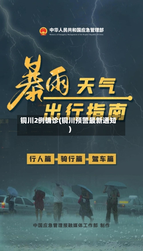 铜川2例确诊(铜川预警最新通知)-第3张图片