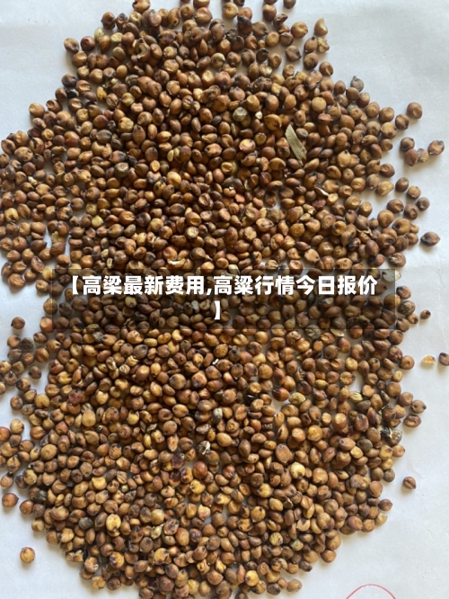 【高梁最新费用,高粱行情今日报价】