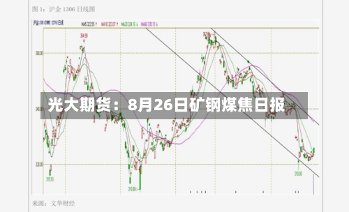 光大期货：8月26日矿钢煤焦日报-第1张图片