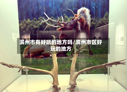 滨州市有好玩的地方吗/滨州市区好玩的地方-第2张图片