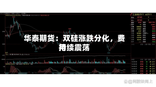 华泰期货：双硅涨跌分化，费用持续震荡-第2张图片