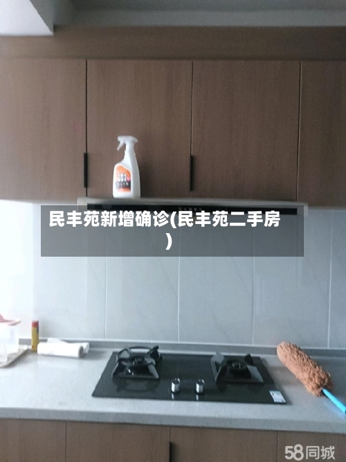 民丰苑新增确诊(民丰苑二手房)-第2张图片