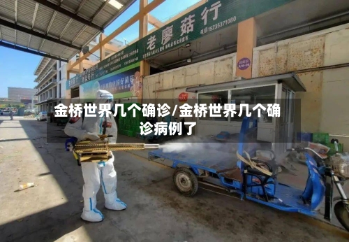 金桥世界几个确诊/金桥世界几个确诊病例了-第3张图片