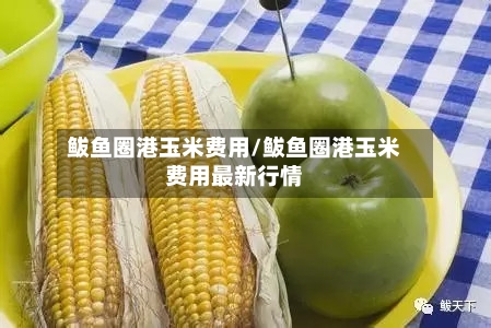鲅鱼圈港玉米费用/鲅鱼圈港玉米费用最新行情-第2张图片