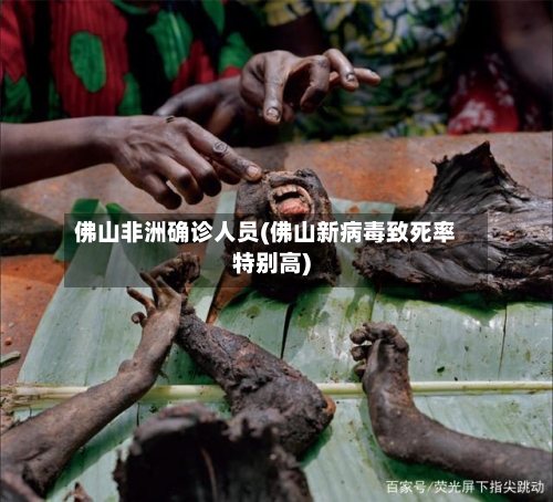 佛山非洲确诊人员(佛山新病毒致死率特别高)