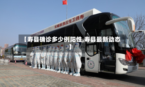 【寿县确诊多少例阳性,寿县最新动态】-第2张图片